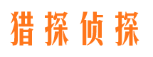 阿里市侦探调查公司